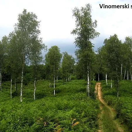 Appartement Ma&ja With Hot Tub Metlika