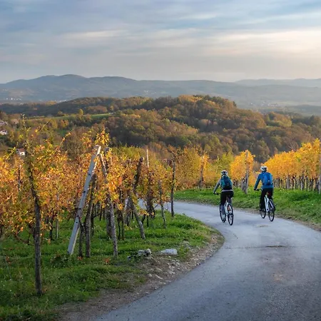 Ma&ja With Hot Tub Apartament Metlika