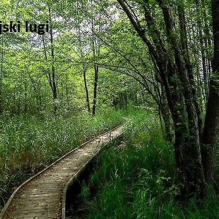 Ma&ja With Hot Tub Metlika