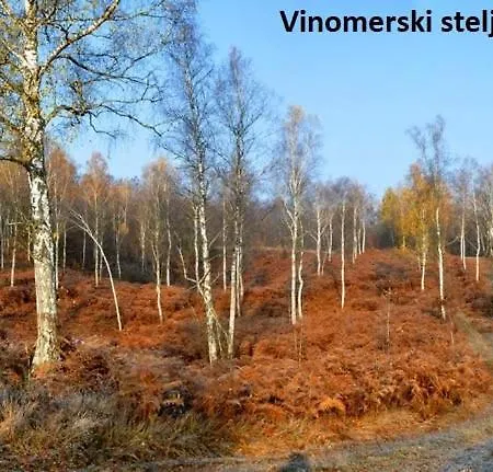 Apartament Ma&ja With Hot Tub *