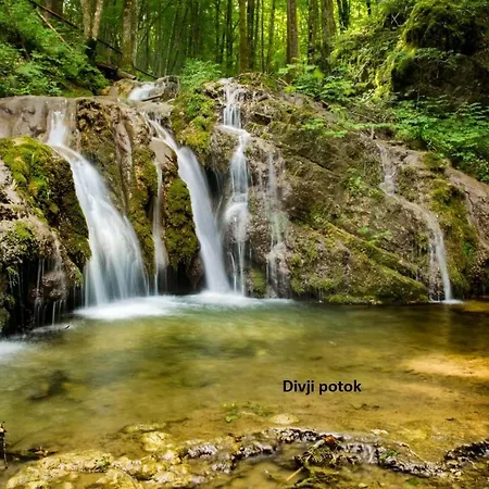 Appartement Ma&ja With Hot Tub Metlika