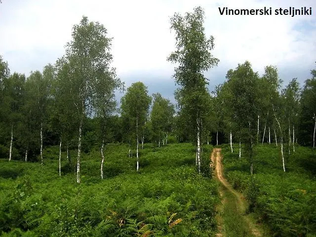 Appartamento Ma&ja With Hot Tub Metlika