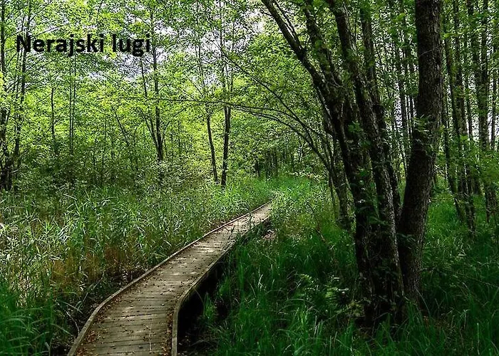 Ma&ja With Hot Tub Metlika