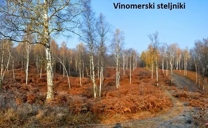 Appartamento Ma&ja With Hot Tub *